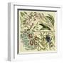 Catesby Botanical Quadrant IV-Mark Catesby-Framed Art Print