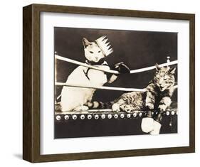 Catfight-null-Framed Art Print