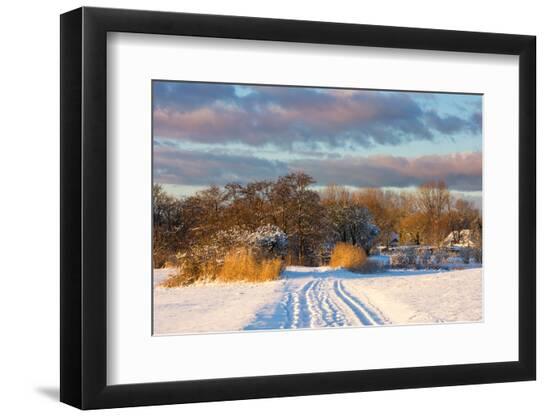 Premium Photographic Print, , large