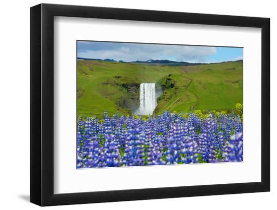 Premium Photographic Print, , large