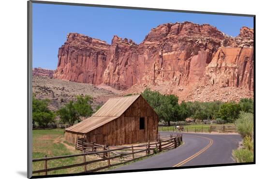 Photographic Print, , large
