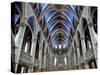 Cathedral and Basilica of Notre Dame Built Between 1839 and 1885, Ottawa, Ontario, Canada-De Mann Jean-Pierre-Stretched Canvas