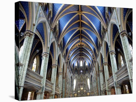 Cathedral and Basilica of Notre Dame Built Between 1839 and 1885, Ottawa, Ontario, Canada-De Mann Jean-Pierre-Stretched Canvas