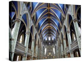 Cathedral and Basilica of Notre Dame Built Between 1839 and 1885, Ottawa, Ontario, Canada-De Mann Jean-Pierre-Stretched Canvas