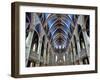 Cathedral and Basilica of Notre Dame Built Between 1839 and 1885, Ottawa, Ontario, Canada-De Mann Jean-Pierre-Framed Photographic Print