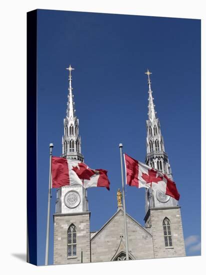 Cathedral and Basilica of Notre Dame, Ottawa, Ontario Province, Canada-De Mann Jean-Pierre-Stretched Canvas