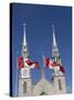 Cathedral and Basilica of Notre Dame, Ottawa, Ontario Province, Canada-De Mann Jean-Pierre-Stretched Canvas