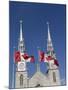 Cathedral and Basilica of Notre Dame, Ottawa, Ontario Province, Canada-De Mann Jean-Pierre-Mounted Photographic Print