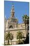 Cathedral and Giralda, Seville, UNESCO World Heritage Site, Andalusia, Spain, Europe-Guy Thouvenin-Mounted Photographic Print