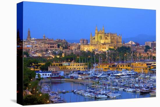 Cathedral and Harbour, Palma, Mallorca, Spain, Europe-Neil Farrin-Stretched Canvas