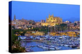 Cathedral and Harbour, Palma, Mallorca, Spain, Europe-Neil Farrin-Stretched Canvas