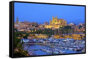 Cathedral and Harbour, Palma, Mallorca, Spain, Europe-Neil Farrin-Framed Stretched Canvas