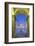 Cathedral and Marien Column, Salzburg, Salzburger Land, Austria, Europe-Markus Lange-Framed Photographic Print