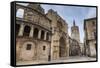 Cathedral and Miguelete Bell Tower, Plaza De La Virgen, Autumn (Fall), Valencia, Spain, Europe-Eleanor Scriven-Framed Stretched Canvas