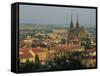 Cathedral and Skyline of the City of Brno in South Moravia, Czech Republic, Europe-Strachan James-Framed Stretched Canvas