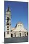 Cathedral-Basilica of Our Lady of Assumption and Clock Tower-null-Mounted Giclee Print