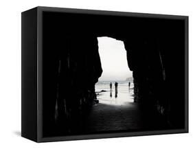 Cathedral Cave, Catlins Coast, South Island, New Zealand-David Wall-Framed Stretched Canvas