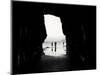 Cathedral Cave, Catlins Coast, South Island, New Zealand-David Wall-Mounted Photographic Print