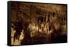 Cathedral Caverns, Scottsboro, Alabama-Carol Highsmith-Framed Stretched Canvas