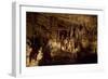 Cathedral Caverns, Scottsboro, Alabama-Carol Highsmith-Framed Art Print