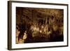 Cathedral Caverns, Scottsboro, Alabama-Carol Highsmith-Framed Art Print