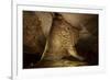 Cathedral Caverns, Scottsboro, Alabama-Carol Highsmith-Framed Art Print