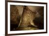 Cathedral Caverns, Scottsboro, Alabama-Carol Highsmith-Framed Art Print