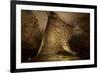 Cathedral Caverns, Scottsboro, Alabama-Carol Highsmith-Framed Art Print