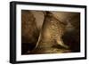 Cathedral Caverns, Scottsboro, Alabama-Carol Highsmith-Framed Art Print