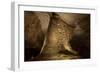 Cathedral Caverns, Scottsboro, Alabama-Carol Highsmith-Framed Art Print