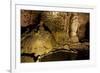 Cathedral Caverns, Scottsboro, Alabama-Carol Highsmith-Framed Art Print