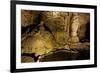 Cathedral Caverns, Scottsboro, Alabama-Carol Highsmith-Framed Art Print