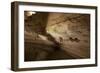 Cathedral Caverns, Scottsboro, Alabama-Carol Highsmith-Framed Premium Giclee Print