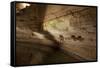 Cathedral Caverns, Scottsboro, Alabama-Carol Highsmith-Framed Stretched Canvas