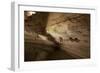 Cathedral Caverns, Scottsboro, Alabama-Carol Highsmith-Framed Art Print