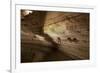 Cathedral Caverns, Scottsboro, Alabama-Carol Highsmith-Framed Art Print