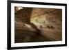 Cathedral Caverns, Scottsboro, Alabama-Carol Highsmith-Framed Art Print