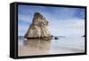 Cathedral Cove, Coromandel Peninsula, Waikato, North Island, New Zealand, Pacific-Ian-Framed Stretched Canvas