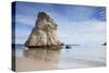 Cathedral Cove, Coromandel Peninsula, Waikato, North Island, New Zealand, Pacific-Ian-Stretched Canvas