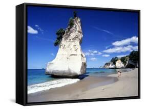 Cathedral Cove, Coromandel Peninsula-David Wall-Framed Stretched Canvas