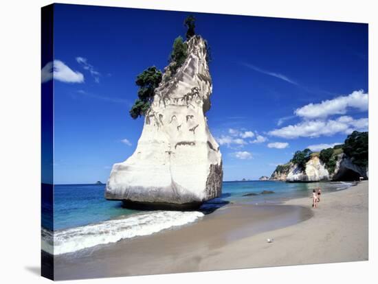 Cathedral Cove, Coromandel Peninsula-David Wall-Stretched Canvas