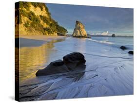 Cathedral Cove, Hahei, Coromadel Peninsula, Waikato, North Island, New Zealand-Rainer Mirau-Stretched Canvas