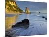 Cathedral Cove, Hahei, Coromadel Peninsula, Waikato, North Island, New Zealand-Rainer Mirau-Mounted Photographic Print