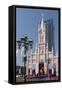 Cathedral, Danang, Vietnam, Indochina, Southeast Asia, Asia-Rolf Richardson-Framed Stretched Canvas