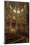 Cathedral De Santa Maria, Murcia, Region of Murcia, Spain-Michael Snell-Mounted Photographic Print