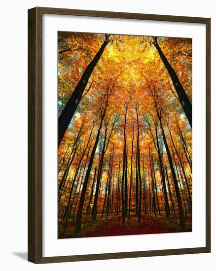 Cathedral Fall-Philippe Sainte-Laudy-Framed Premium Photographic Print