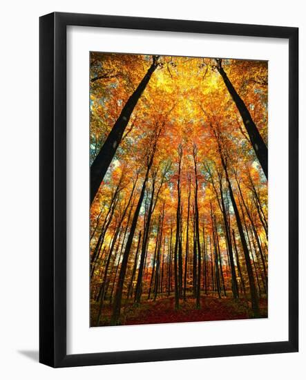 Cathedral Fall-Philippe Sainte-Laudy-Framed Photographic Print