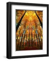 Cathedral Fall-Philippe Sainte-Laudy-Framed Premium Photographic Print