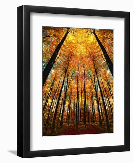 Cathedral Fall-Philippe Sainte-Laudy-Framed Premium Photographic Print