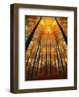 Cathedral Fall-Philippe Sainte-Laudy-Framed Photographic Print